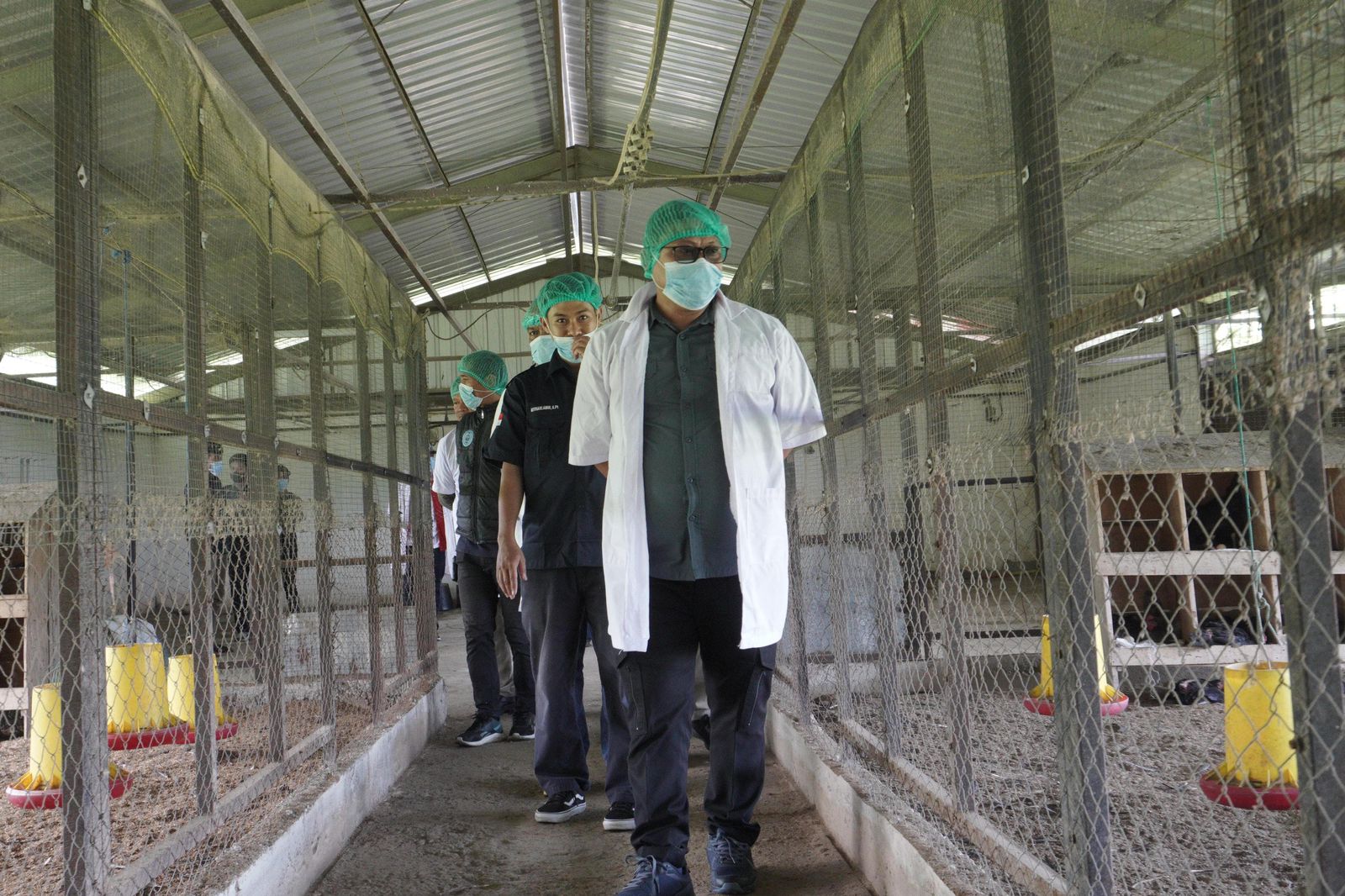 Pj Wali Kota Tinjau Langsung UPTD Pembibitan Ternak Mancani Palopo