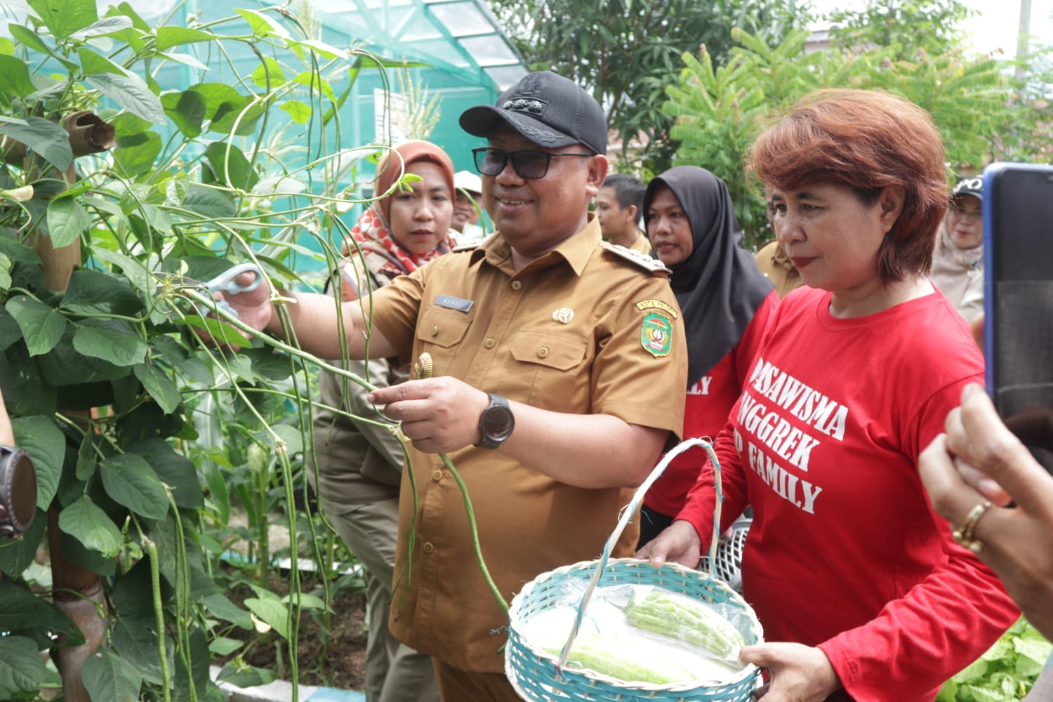 Pj Wali Kota Palopo Apresiasi Hasil Panen Sayuran Kelompok Wanita Tani