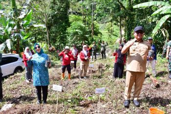 Peringatan Hari Bumi 2024 Pemkot Palopo Ikut Serta Penanaman Pohon Serentak