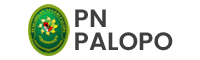 PN Palopo