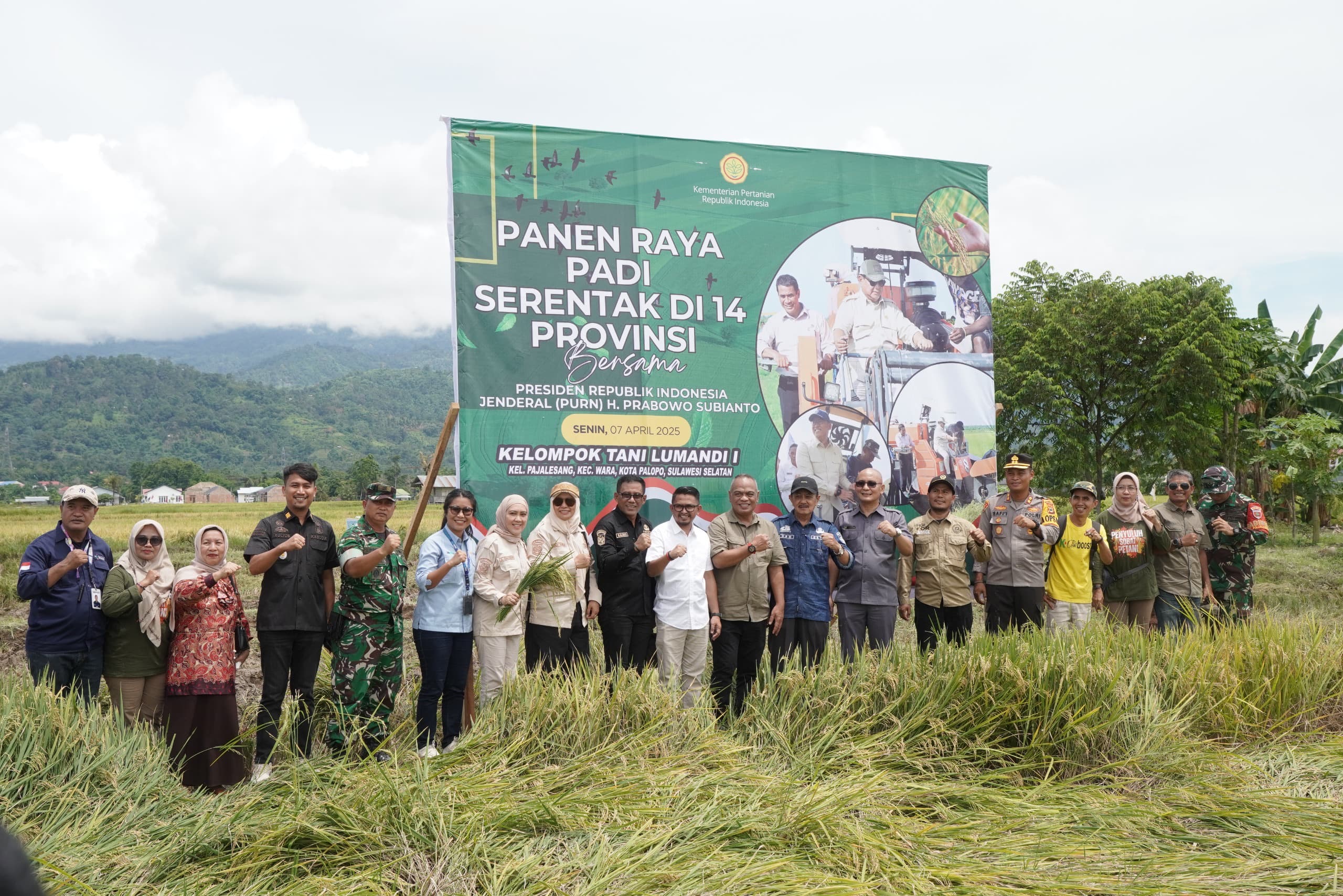 Pemkot Palopo Dukung Panen Raya Padi Serentak sebagai Komitmen Bersama Mewujudkan Ketahanan Pangan