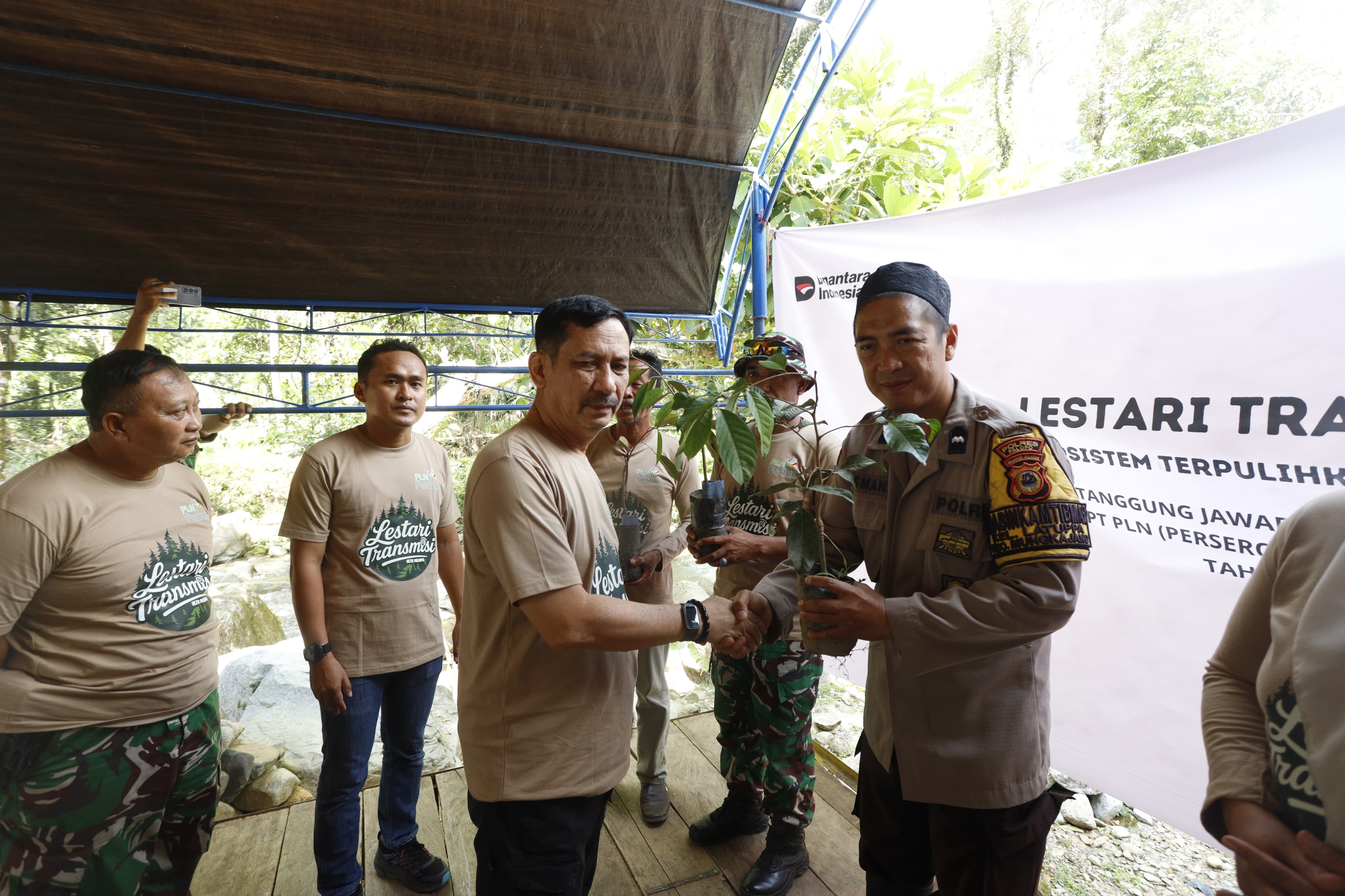 PLN Palopo Serahkan 2000 Bibit Pohon kepada Pemkot