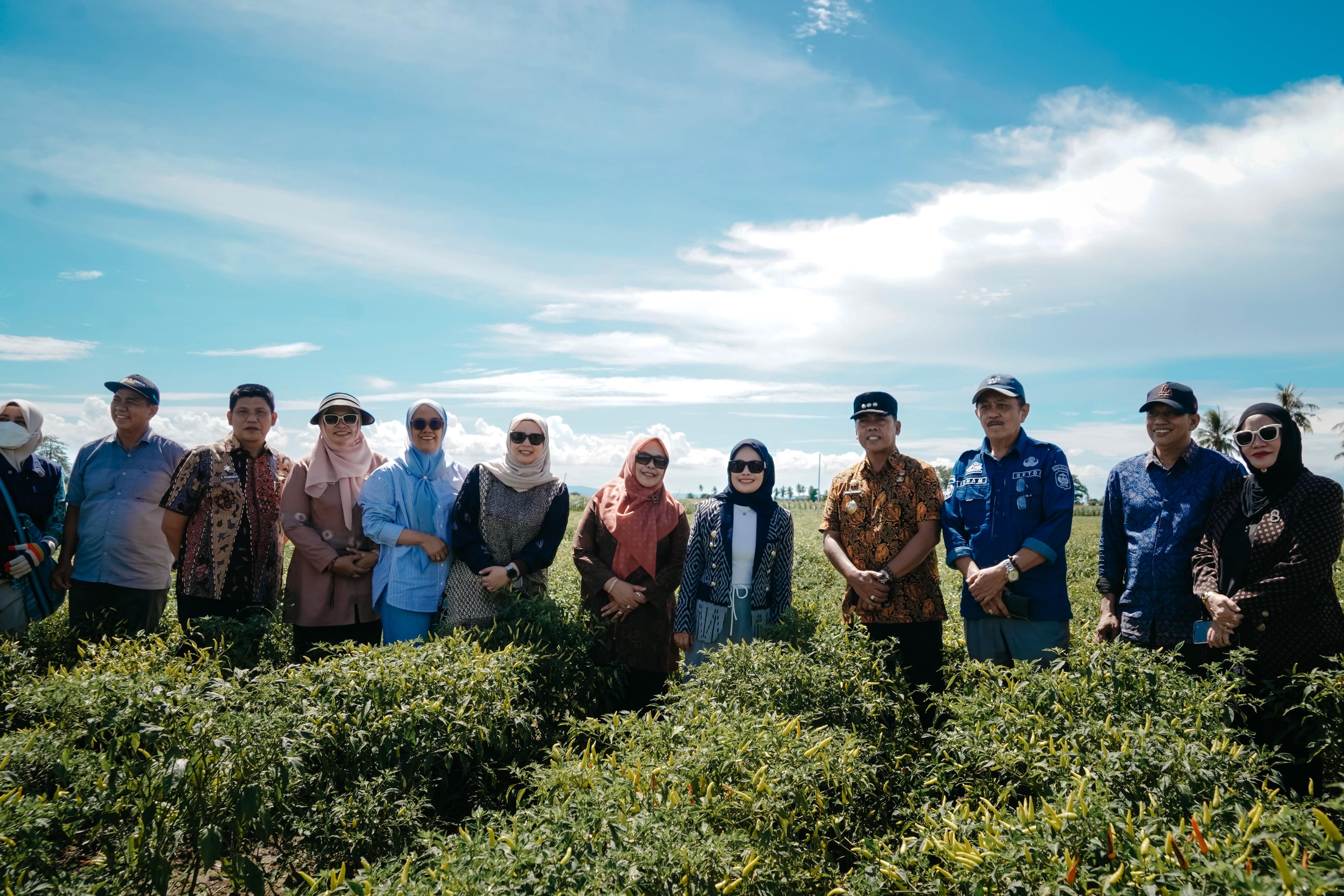 Palopo dan Wajo Jalin Kerja Sama Penguatan Sektor Pertanian