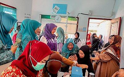 ketua-tp-pkk-kota-palopo-akan-kunjungi-154-posyandu